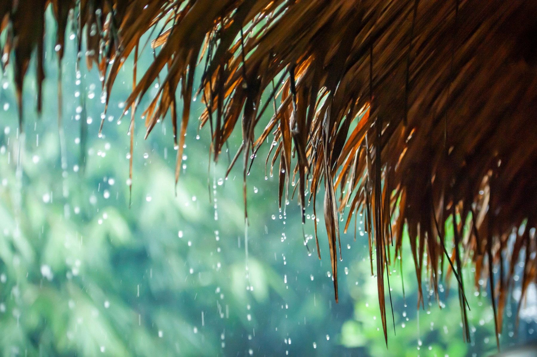 5 Things to Do When It Rains in Phuket