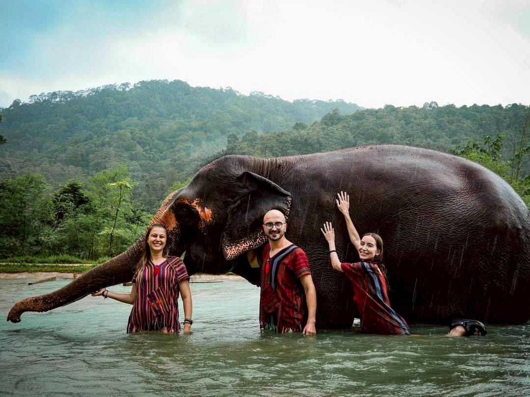 IKON x Elephant Bathing Experience