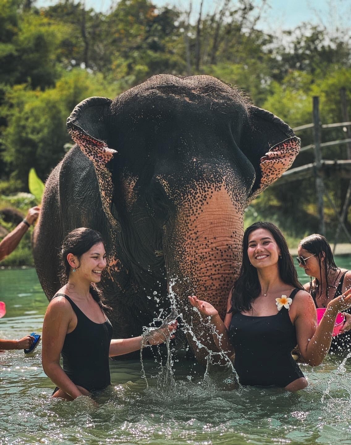 IKON x Elephant Bathing Experience